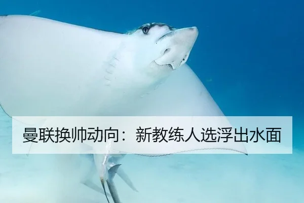 曼联换帅动向：新教练人选浮出水面